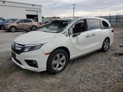 Honda salvage cars for sale: 2019 Honda Odyssey EXL