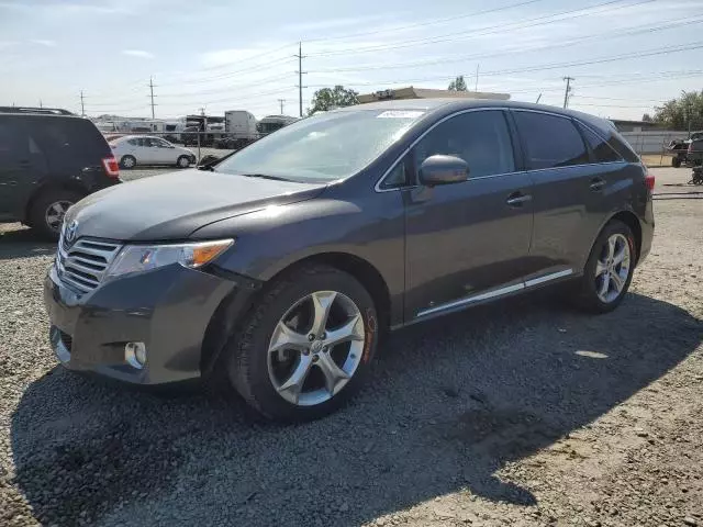 2009 Toyota Venza