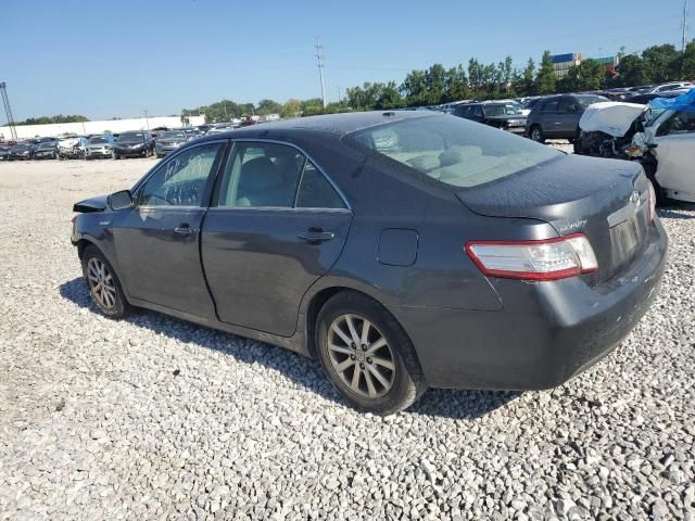 2010 Toyota Camry Hybrid