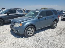 Ford Vehiculos salvage en venta: 2010 Ford Escape XLT