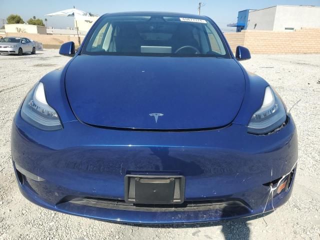 2020 Tesla Model Y