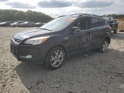 Salvage cars for sale at Windsor, NJ auction: 2013 Ford Escape SEL