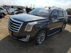 Salvage cars for sale at Elgin, IL auction: 2018 Cadillac Escalade Luxury