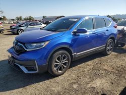 Salvage cars for sale at San Martin, CA auction: 2020 Honda CR-V EXL