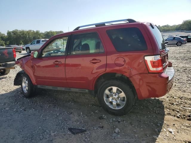 2011 Ford Escape Limited