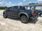 2013 Ford F150 SVT Raptor