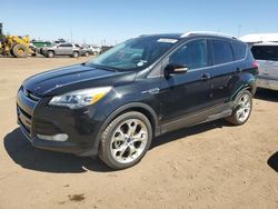 Salvage cars for sale at Brighton, CO auction: 2014 Ford Escape Titanium