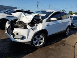 Ford salvage cars for sale: 2014 Ford Escape SE