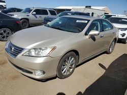 2010 Lexus ES 350 en venta en Brighton, CO