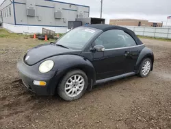 Salvage cars for sale at Bismarck, ND auction: 2005 Volkswagen New Beetle GLS