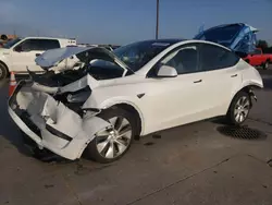 2023 Tesla Model Y en venta en Grand Prairie, TX