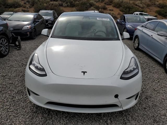 2020 Tesla Model Y