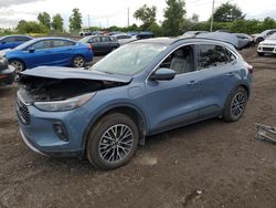 Salvage cars for sale at Montreal Est, QC auction: 2023 Ford Escape