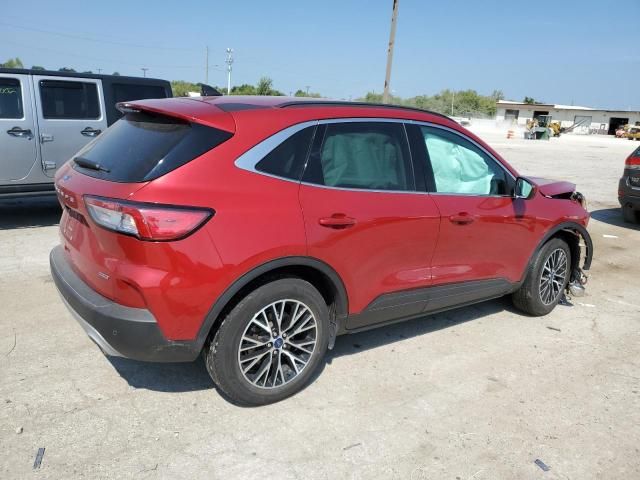 2021 Ford Escape Titanium