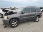 2006 Mazda Tribute I