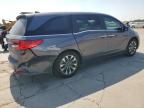 2024 Honda Odyssey EXL