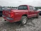 2010 Dodge Dakota SXT