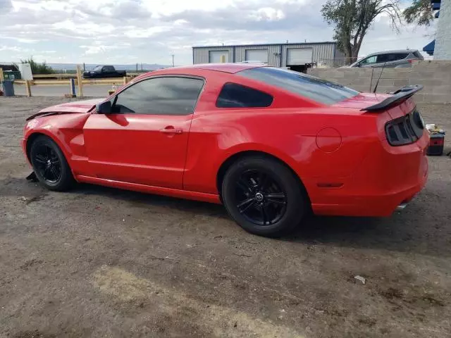 2014 Ford Mustang