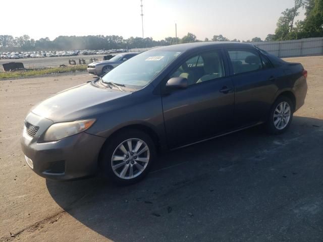 2009 Toyota Corolla Base