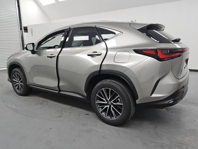 2024 Lexus NX 350H Base