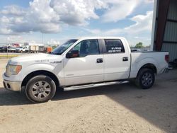 Vehiculos salvage en venta de Copart Houston, TX: 2012 Ford F150 Supercrew