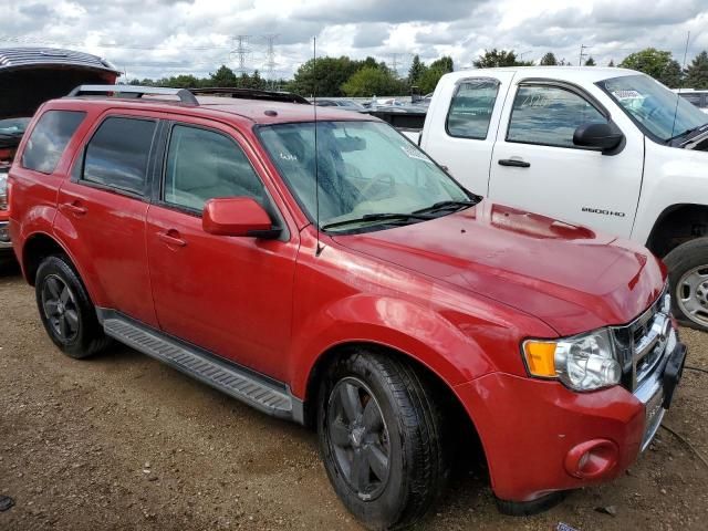 2010 Ford Escape Limited