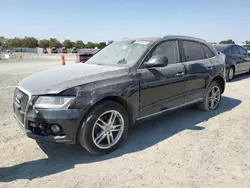 2015 Audi Q5 Premium Plus en venta en Antelope, CA