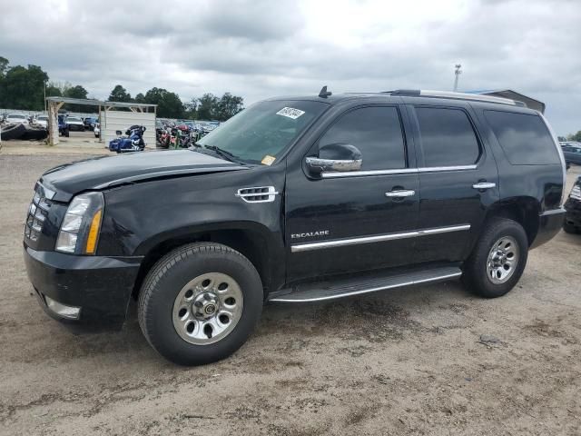 2011 Cadillac Escalade