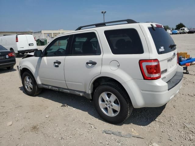 2009 Ford Escape XLT