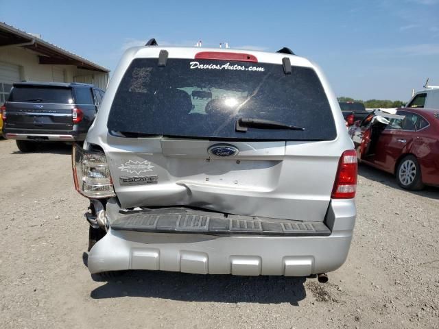 2009 Ford Escape XLT