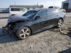 Salvage cars for sale at Airway Heights, WA auction: 2019 KIA Optima LX