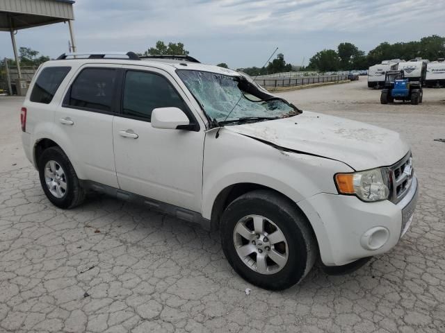 2009 Ford Escape Limited