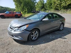 2013 Hyundai Sonata SE en venta en Marlboro, NY