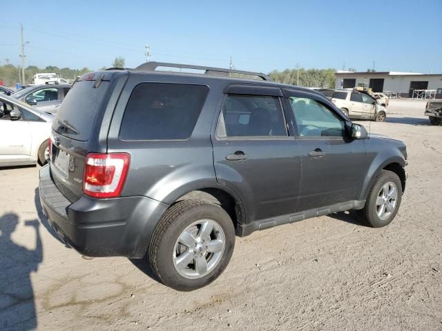 2009 Ford Escape XLT