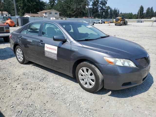 2008 Toyota Camry Hybrid