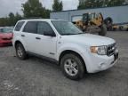 2008 Ford Escape HEV