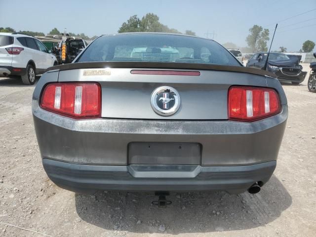 2010 Ford Mustang