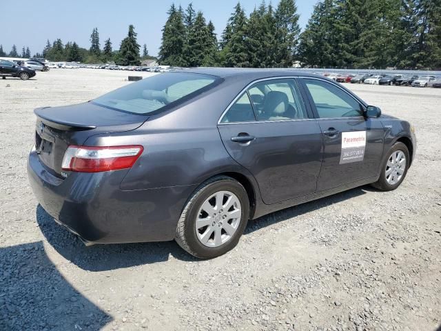 2008 Toyota Camry Hybrid