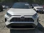 2019 Toyota Rav4 XSE