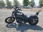 2010 Harley-Davidson XL883 N