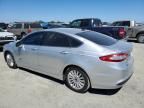 2014 Ford Fusion SE Phev