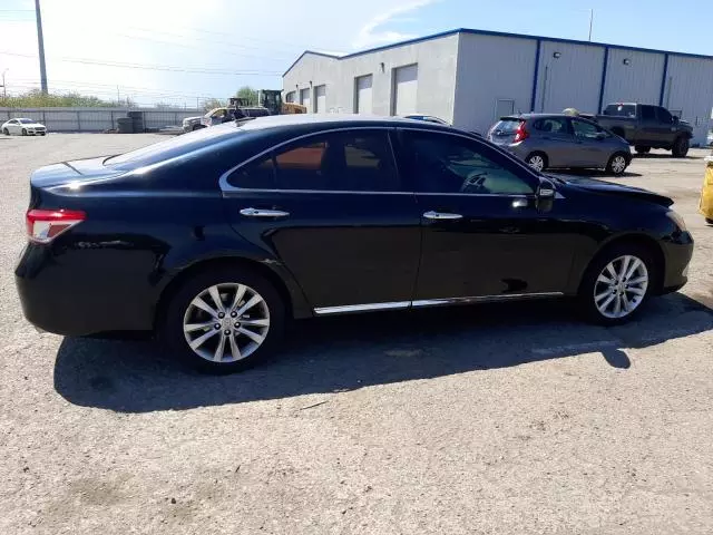 2010 Lexus ES 350