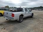 2005 Dodge Dakota Quad SLT