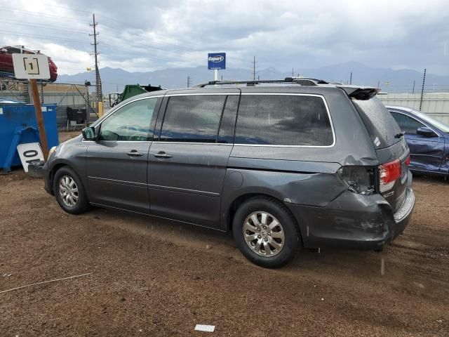 2010 Honda Odyssey EXL