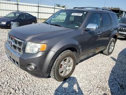 Ford salvage cars for sale: 2010 Ford Escape Limited