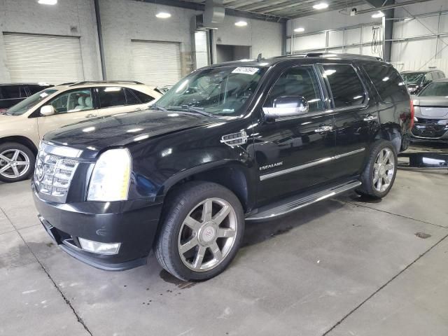 2011 Cadillac Escalade Luxury