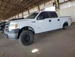 Salvage trucks for sale at Phoenix, AZ auction: 2013 Ford F150 Supercrew