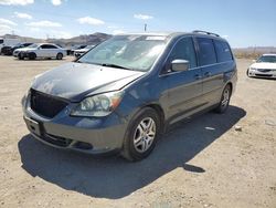 Salvage cars for sale at North Las Vegas, NV auction: 2005 Honda Odyssey EX