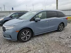 Salvage cars for sale at Lawrenceburg, KY auction: 2023 Honda Odyssey Touring