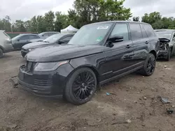 Salvage cars for sale at Baltimore, MD auction: 2021 Land Rover Range Rover HSE Westminster Edition